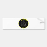REGULATORS BUMPER STICKER