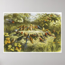 Rehearsal in Fairyland Poster by Richard Doyle