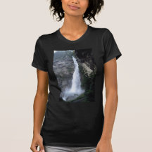 Reichenbach Falls, Switzerland Tee Shirts