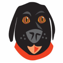 Reigning Cats & Dogs_Furry Faces_Big Ernie
