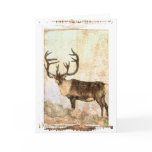 Reindeer Greeting Card