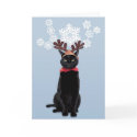 Reindeer Cat Brings Joy cards