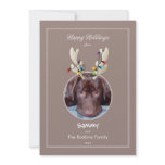 Reindeer Ears Pet Holiday Photo Card