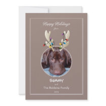 Reindeer Ears Pet Holiday Photo Card