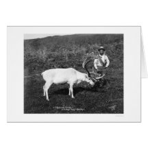 Reindeer & Eskimo Alaska 1920 Greeting Card
