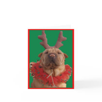 Reindeer Hanni Christmas Card