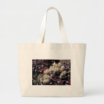 Reindeer Moss or Caribou Moss Lichen Bag
