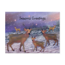 Reindeer Snowfall Postcards