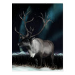 Reinedeer of the Northern Lights Postcard