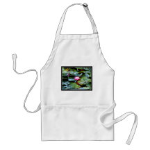 Reinstein Woods - Lily Pond Aprons