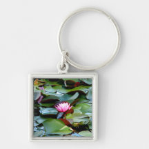 Reinstein Woods - Lily Pond Keychains