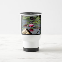 Reinstein Woods - Lily Pond Mugs