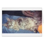 Relax Greeting Card