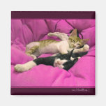 Relax Fridge Magnets