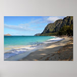 Relax Hawaiian Style Print