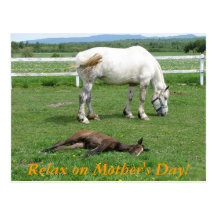 Relax on Mother's Day! Post Cards