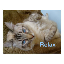 Relax Postcard