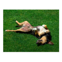 relaxed postcards