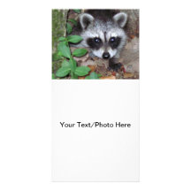 Relaxed Raccoon Customized Photo Card