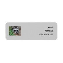 Relaxed Raccoon Return Address Label