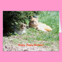 Relaxing Birthday, Cats & Cake cards