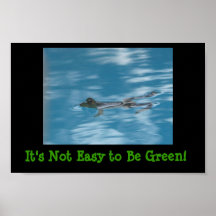 Relaxing frog print