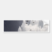 Release Bumper Stickers