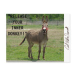 "RELEASE YOUR INNER DONKEY!"