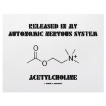 Released Autonomic Nervous System Acetylcholine