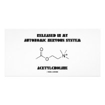 Released Autonomic Nervous System Acetylcholine