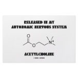 Released Autonomic Nervous System Acetylcholine stationery