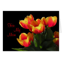 Rembrandt Tulip Mothers' Day Card