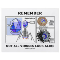 Remember Not All Viruses Look Alike (Virology)