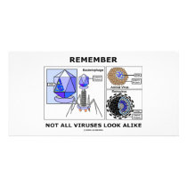 Remember Not All Viruses Look Alike (Virology)