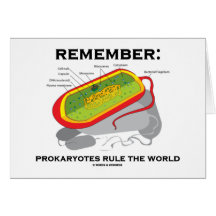Remember: Prokaryotes Rule The World Greeting Cards
