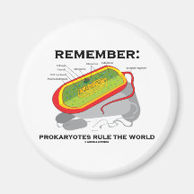 Remember: Prokaryotes Rule The World Refrigerator Magnets