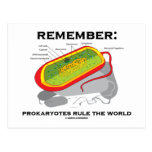 Remember: Prokaryotes Rule The World Post Card