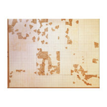 Remnant of a cadastre gallery wrap canvas