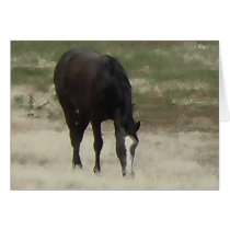 Remuda Herd Grazes - Ranch Cow Horses - Blank Greeting Cards