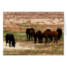 Remuda Herd Grazes - Ranch Cow Horses - Blank Greeting Card