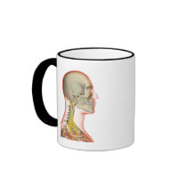 Rendering of the nerves of the neck coffee mug