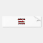 Renegade History Teacher Bumper Stickers