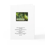 renewal yummy fruit greeting card