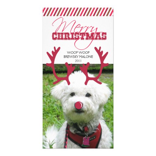 Renne Antler et Noël rouge d'animal familier de ne Photocarte Customisée