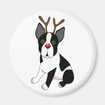 Renne de Boston Terrier Aimants