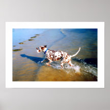 REPÉREZ LE CHIEN DALMATIEN POSTER