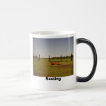 Repos Tasses