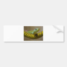 Reptile de serpent autocollants pour voiture