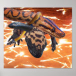 Reptiles Poster