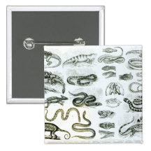 Reptiles, Serpents and Lizards Pins
